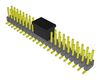 SAMTEC TSM-122-01-F-DV-P-FR