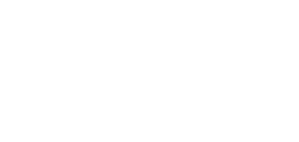 Development Distributor